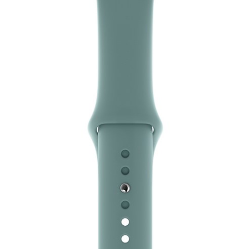 Apple 정품 애플워치 3/4/5 스포츠 밴드, 38/40mm, Cactus