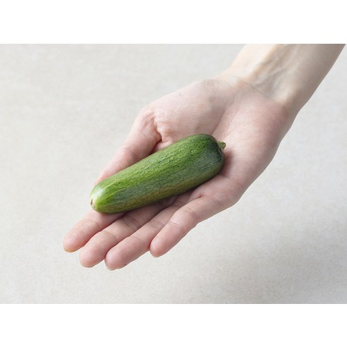 냉장고 속 작은 행복, 미니오이로 간편하고 건강하게!