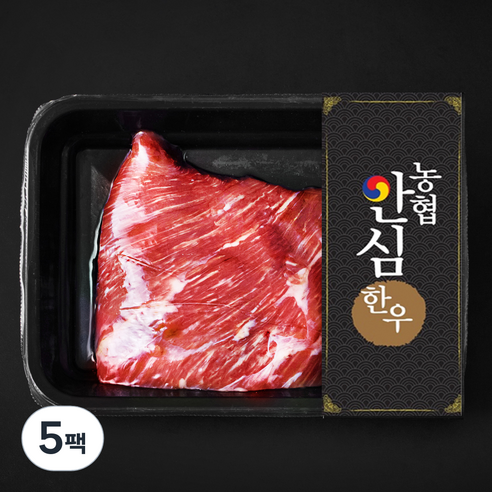 농협안심한우 양지 덩어리 2등급 국거리 수육 장조림용 (냉장), 300g, 5팩