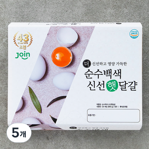 조인 백색 중란, 20구, 5개