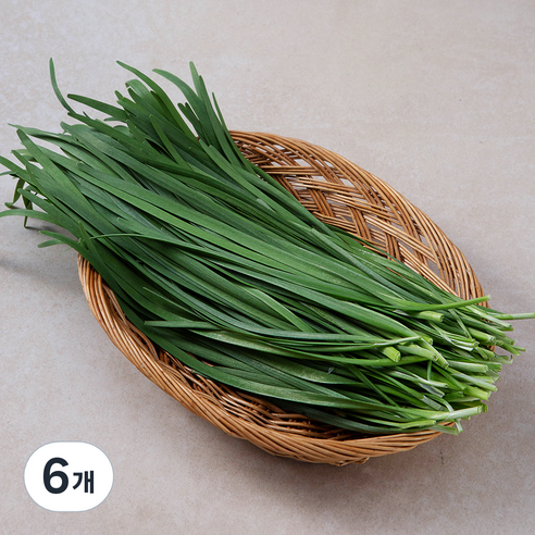 국내산 부추, 300g, 6개