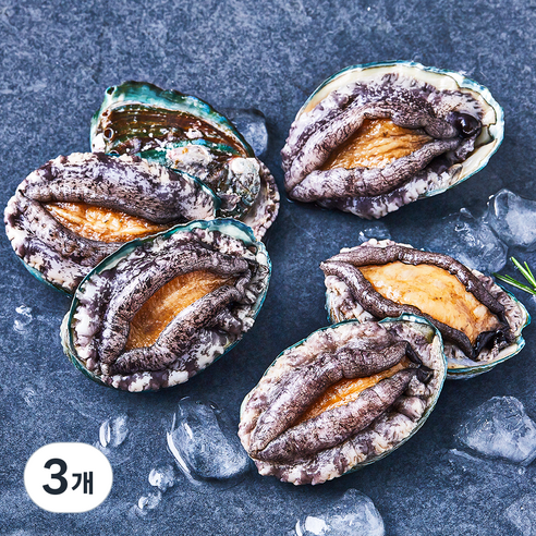 아라보감 완도 산지직송 전복 (냉장), 340g 내외(중, 6마리), 3개
