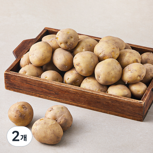 국내산 감자(햇), 5kg, 2개