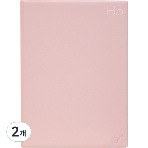 데얼스 도큐먼트 파일홀더 B5, 피치, 2개