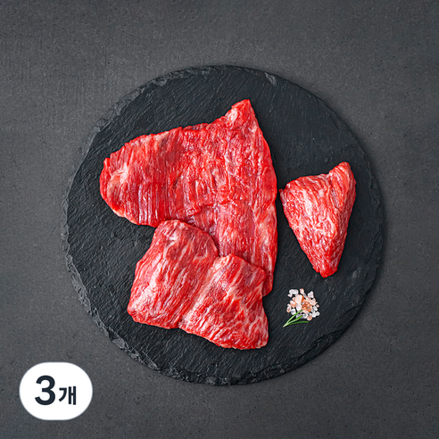 설로인 한우 1++등급 (7) 양지 국거리 (냉장), 300g, 3개