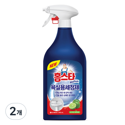 홈스타 욕실청소용 세정제, 2개, 900ml