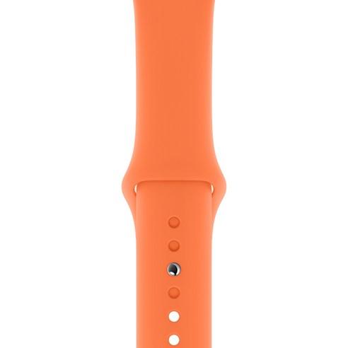 Apple 애플워치 스포츠 밴드, 42/44mm, Vitamin C