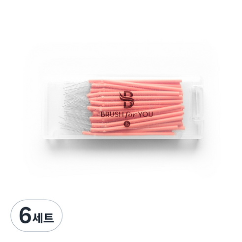 브러쉬포유 휴대용 치간칫솔 4S 0.6mm 50p, 6세트, 50개