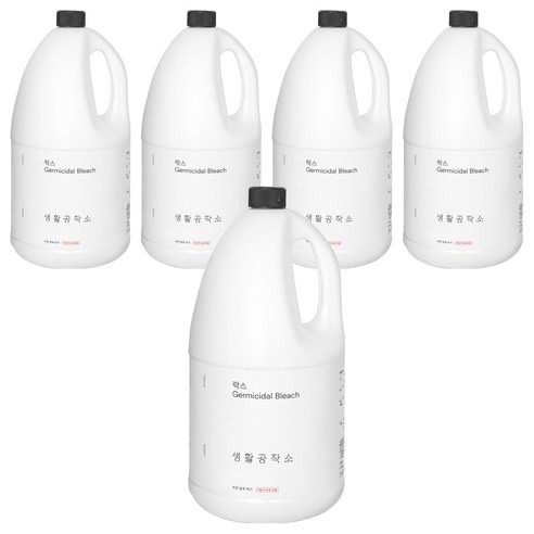 생활공작소 락스, 3L, 5개
