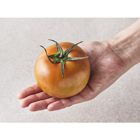 매일 아침을 행복하게, 곰곰 찰토마토로 건강한 식탁을!