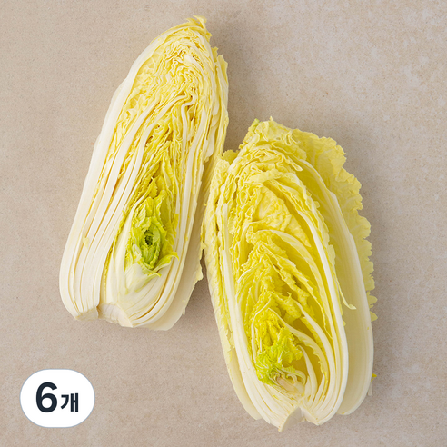 국내산 친환경 쌈용 맛배추, 400g, 6개, 400g
