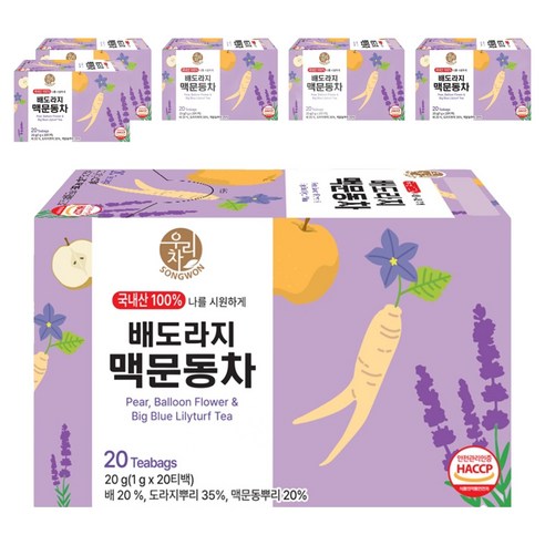 우리차 송원식품 배도라지 맥문동차 티백, 6개, 20개입, 1g