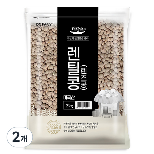 더담은 미국산 렌틸콩 렌즈콩, 2kg, 2개