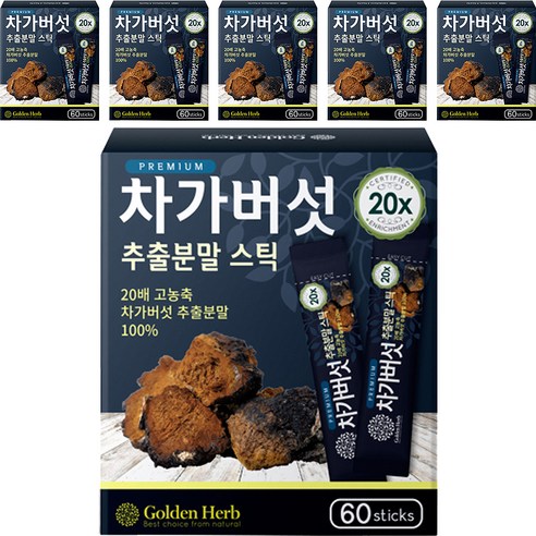 골든허브 프리미엄 차가버섯 추출분말 스틱, 1g, 360개