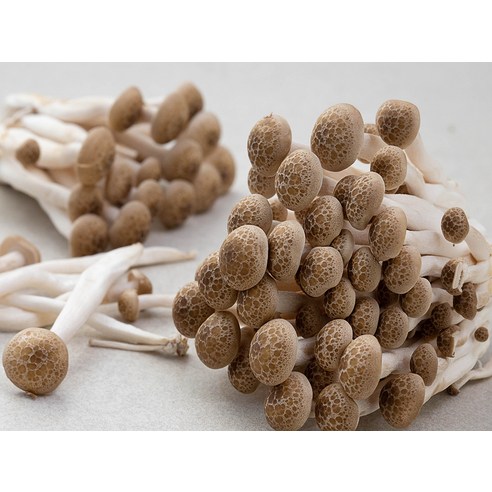 신선한 친환경 버섯, 다양한 요리에 활용 가능한 영양 소스