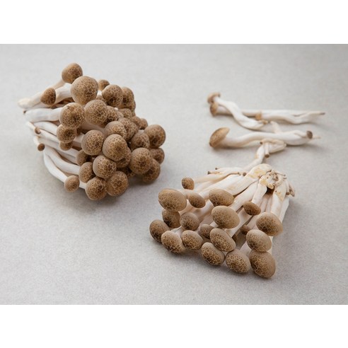 신선한 친환경 버섯, 다양한 요리에 활용 가능한 영양 소스