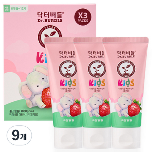 닥터버들 불소함유 어린이 치약 딸기향, 60ml, 9개