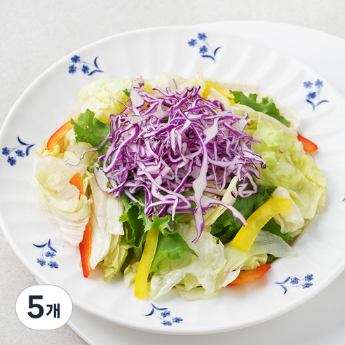 저스트그린 데일리 가든샐러드, 750g, 5개