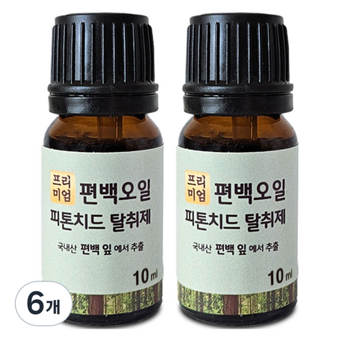 편백아트 프리미엄 편백오일 피톤치드 탈취제, 10ml, 6개