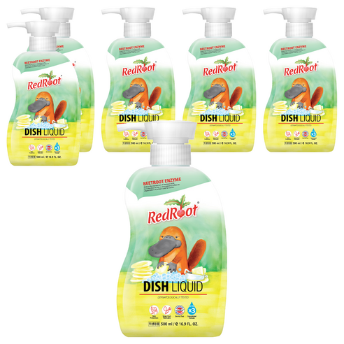 레드루트 주방세정제, 500ml, 6개