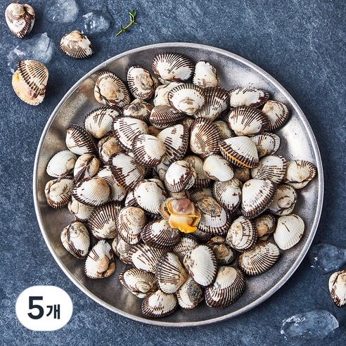 아라보감 산지직송 생물 새꼬막 (냉장), 5개, 1kg