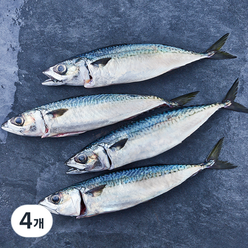 부산 간고등어 2손 해동 (냉장), 4개, 600g(중)