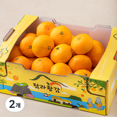 탐라황감 당도선별 감귤 10brix, 2kg(로열과), 2개