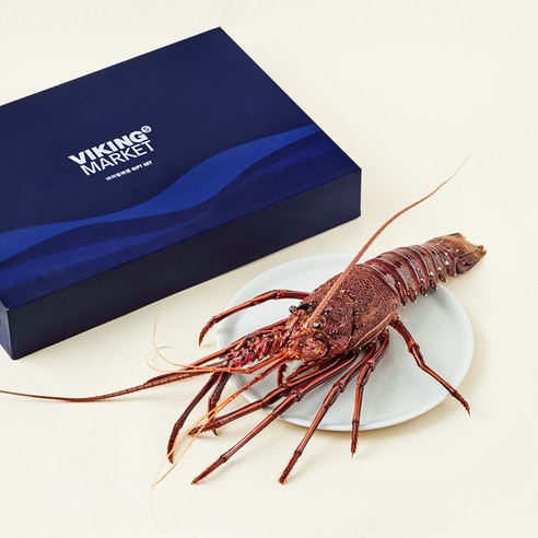 스파이니 랍스타 선물세트 (냉장), 1.4kg 내외, 1개
