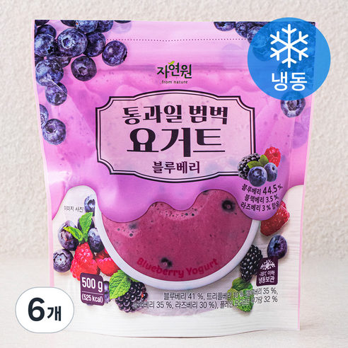 자연원 통과일 범벅 요거트 블루베리 (냉동), 500g, 6개