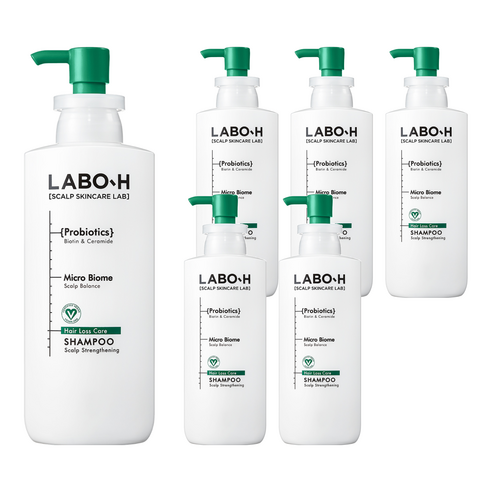 라보에이치 두피강화 클리닉 탈모증상완화 샴푸, 400ml, 6개