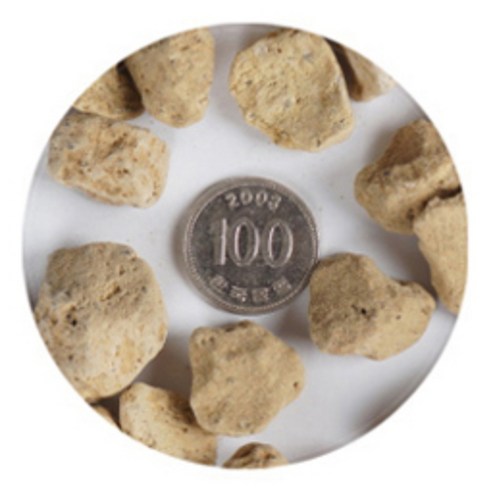 생명의 숨결을 불어넣는 마법, 화분월드 난석 휴가토 대립