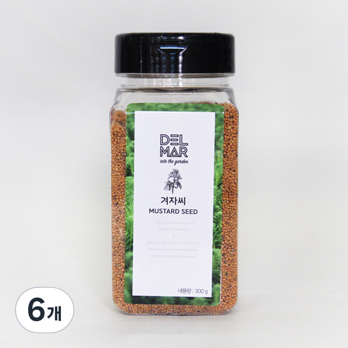 딜리셔스마켓 겨자씨 중형, 300g, 6개