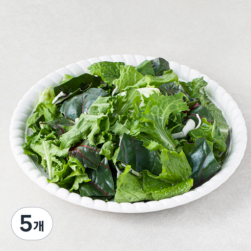 팜에이트 레인보우믹스 그린, 500g, 5개