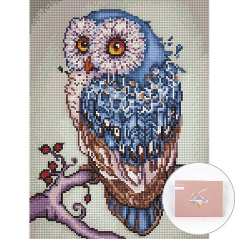 아트조이 DIY 보석십자수 캔버스형 30 x 40 cm, 행운부엉이, 1세트