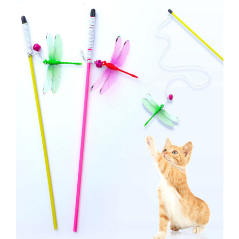 伴侶  寵物用品  貓  用品  玩具  寵物貓  貓  貓  小貓  小貓