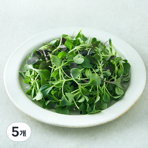 유기농 베이비채소, 5개, 100g