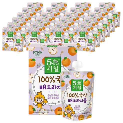자연원 100% 국산 배도라지즙, 100ml, 100개
