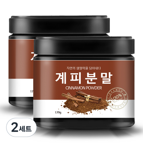 올바른습관 계피분말 170g x 2p + 계량스푼, 2세트