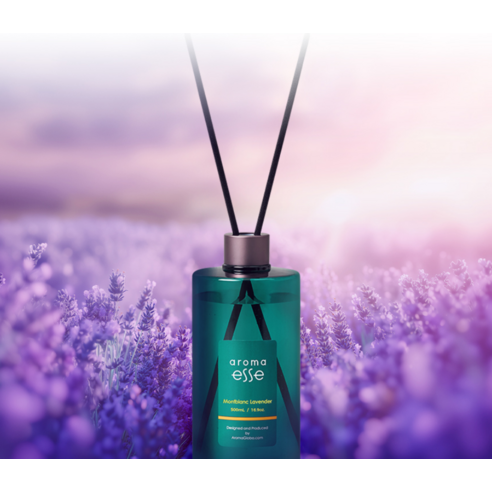 향기로 완성하는 공간의 아름다움, 아로마엣세 센트클래식