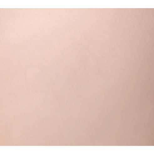 바닐라코 커버리셔스 파워 핏 컨실러 5.5g, 21호 피치, 1개