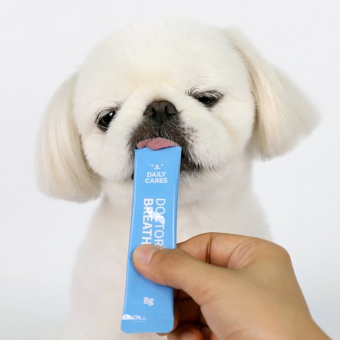 사랑하는 반려견을 위한 최상의 선택