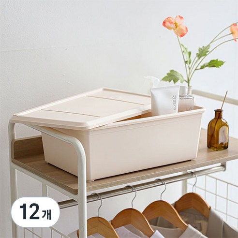 아이리스 쁘띠 컬러 리빙박스, 아이보리, 12L, 12개