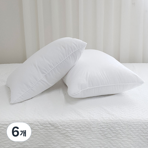 스탠다드 지퍼 베개솜 일반형 2p, 6개