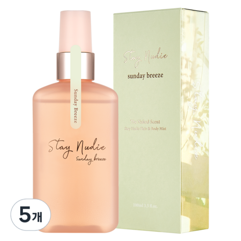 바디홀릭 스테이누디 헤어 앤 바디미스트 선데이 브리즈, 100ml, 5개