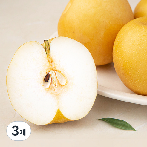 [로켓프레시] 새벽경매 알뜰배, 2.5kg(4~5입), 3개