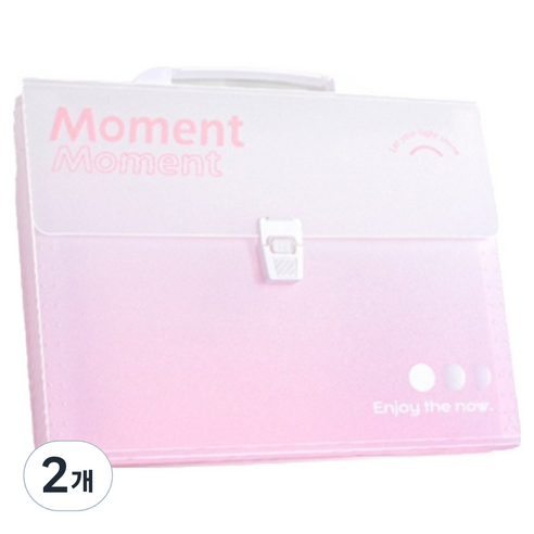 모노테리 도큐먼트 13칸 서류 보관 아코디언파일, 핑크, 2개