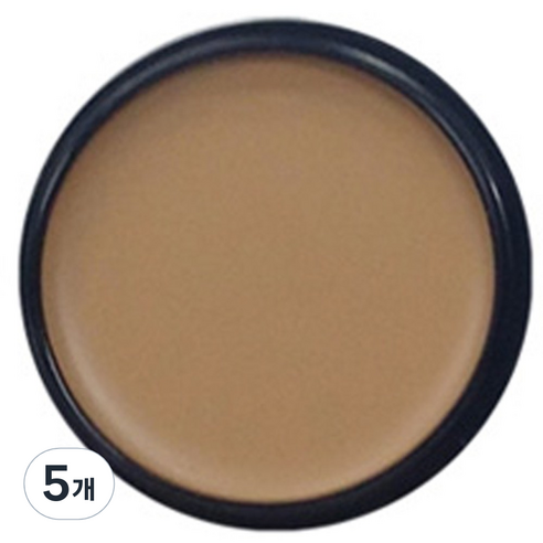 애리조 카마플레이지 크림 13g, No2 크림베이지, 5개