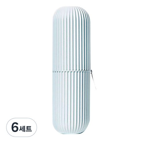 디엠코퍼레이션 알럽홈 멀티 칫솔치약 케이스 민트, 6세트