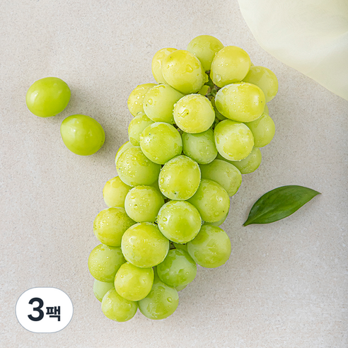 비파괴 당도선별 샤인머스캣, 500g(1수), 3팩