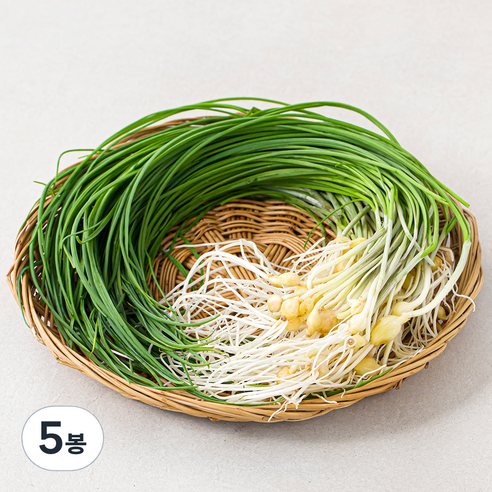 곰곰 서산 달래, 100g, 5봉